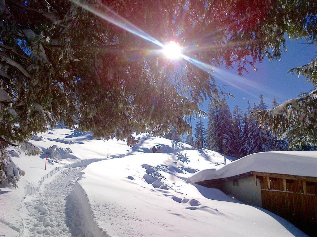 Готель Bergbach Ramsau bei Berchtesgaden Екстер'єр фото